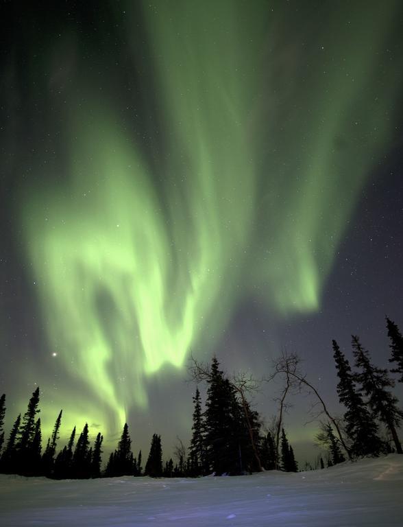 Aurora Inn Dawson City Eksteriør billede
